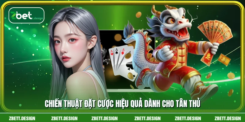 Chiến thuật đặt cược hiệu quả dành cho tân thủ